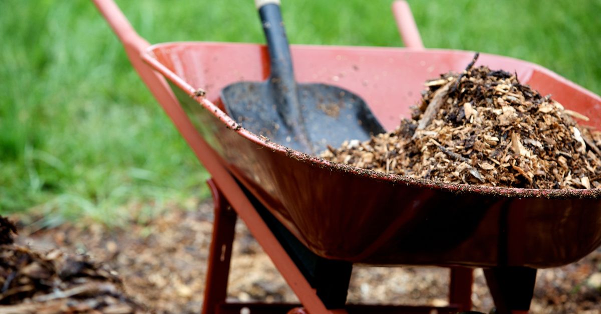 How Do You Get Rid of Old Mulch? 