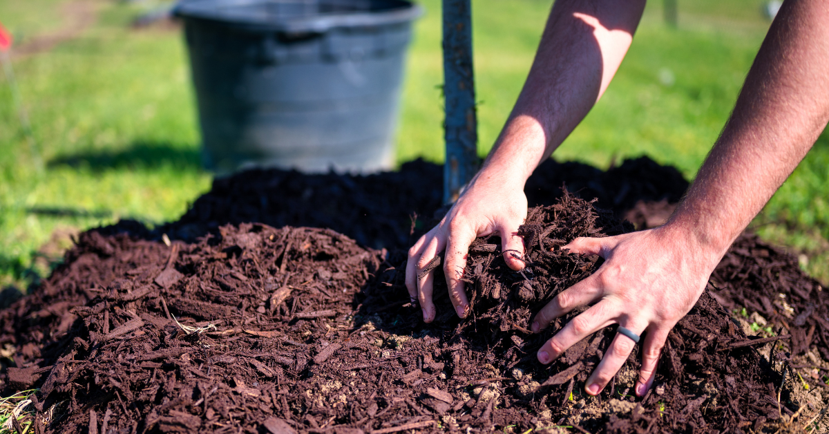 Does Mulch Improve Soil Over Time