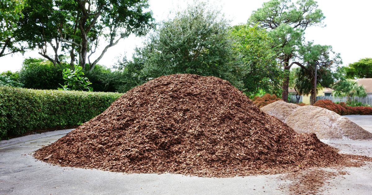 Do I Need to Replace My Mulch Every Year?