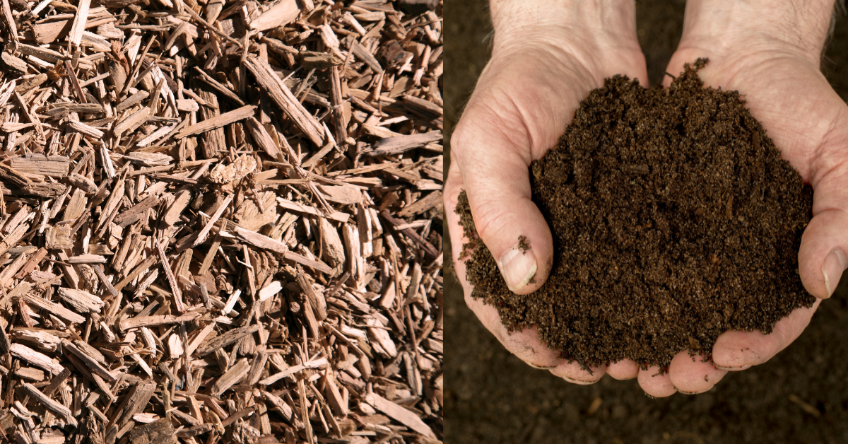 What Is the Difference Between Mulch and Compost